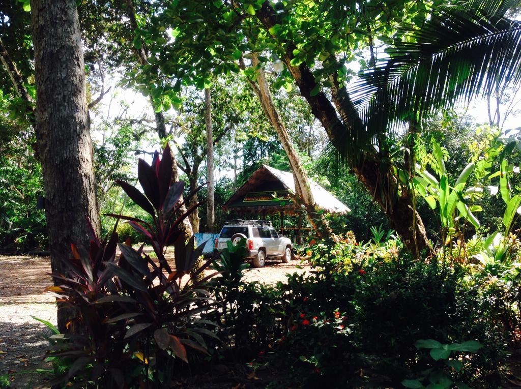 Casa Manglar Villa Puerto Jimenez Bagian luar foto