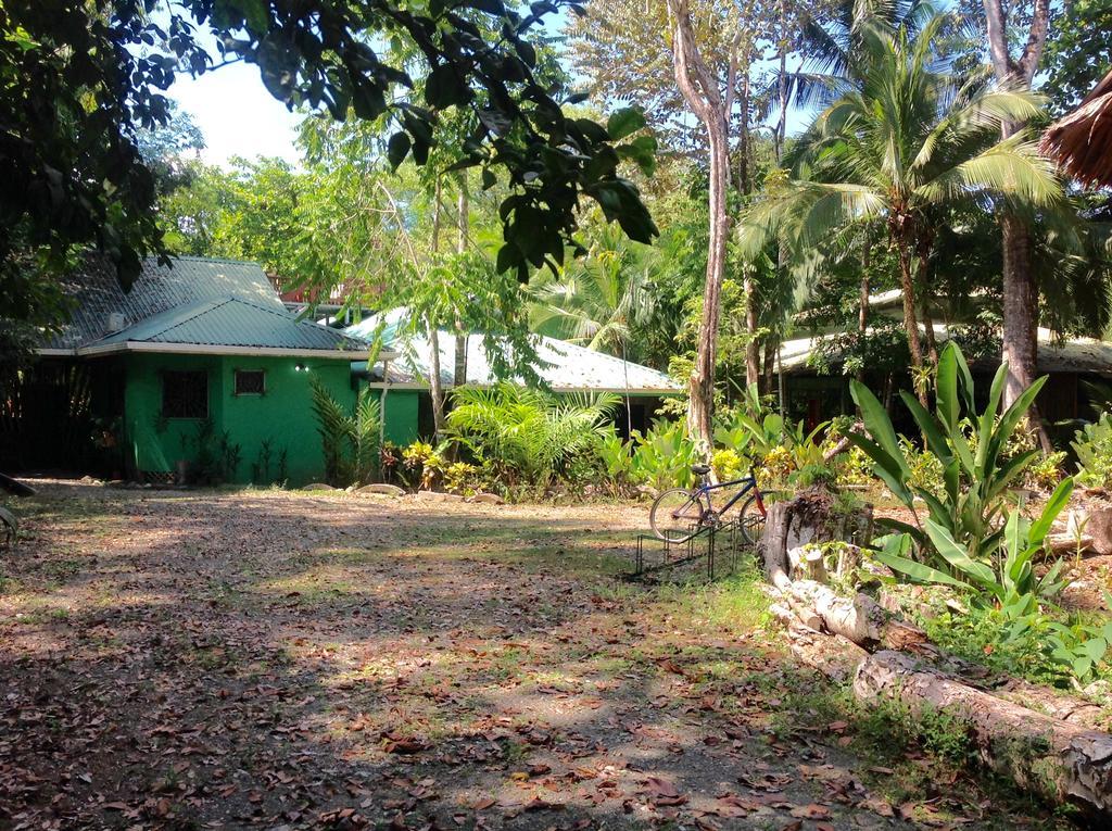 Casa Manglar Villa Puerto Jimenez Bagian luar foto